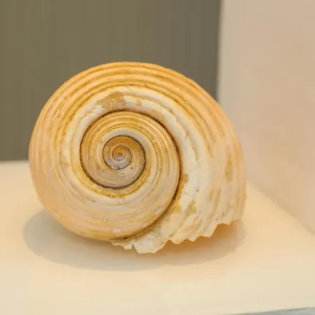 Apartman Stella Maris - Penthouse, Hvar Hvar Town